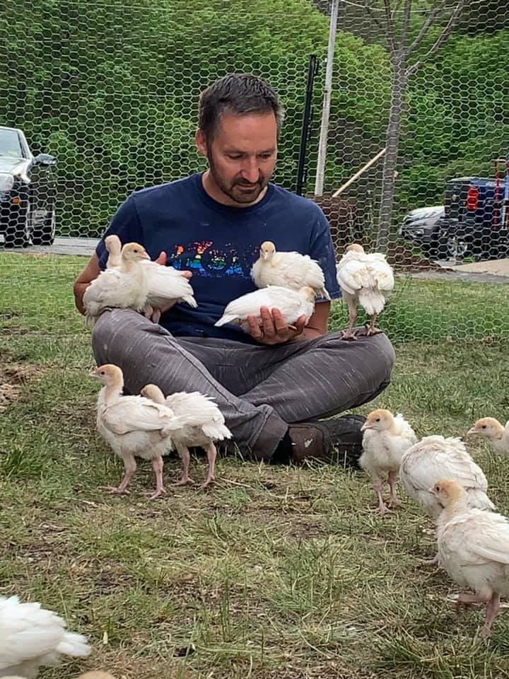Helpful tips for raising your own turkeys!