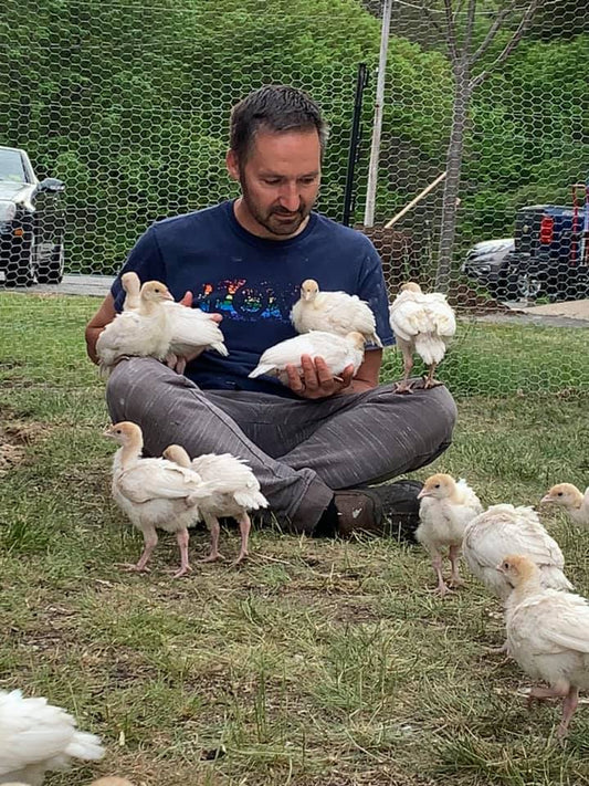 Helpful tips for raising your own turkeys!