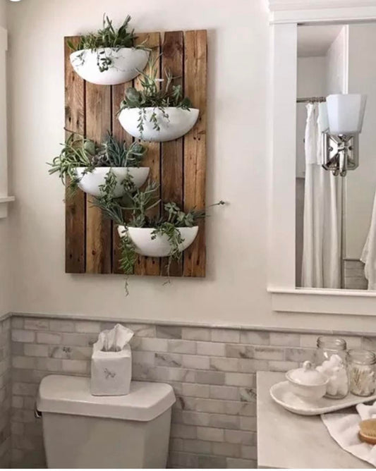 The Benefits of a Living Wall - plus how to create one.